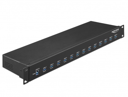 Hub industrial 19" 13 porturi USB 3.1-A Gen 1, Delock 64039