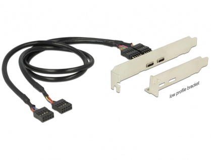 Bracket pin header USB 2.0 la 2 x USB tip C Low Profile, Delock 84754