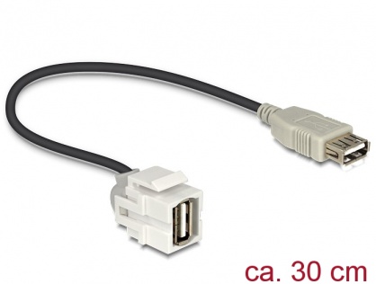 Modul Keystone USB 2.0-A 250 grade mama, Delock 86329