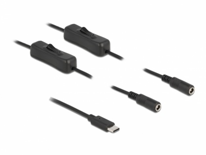 Cablu USB Type-C la 2 x DC 5.5 x 2.1 mm cu switch T-M 1m, Delock 86800