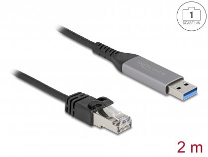 Cablu de retea USB 3.1-A la RJ45 Gigabit LAN 2m, Delock 60756
