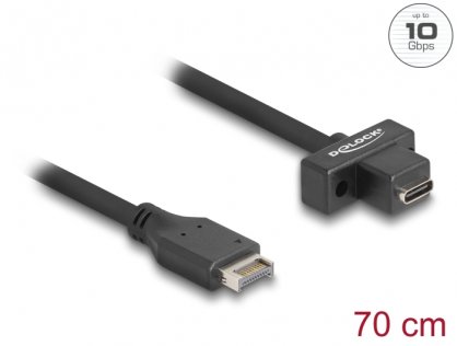 Cablu USB tip E Key A 20 pini la USB Type C panel-mount T-M 70cm, Delock 85776