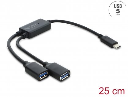 HUB USB 5 Gbps type C la 2 x USB-A 25cm, Delock 64373