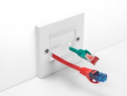 Priza pentru organizarea cablurilor 86 x 86 mm cu perii, Delock 66495