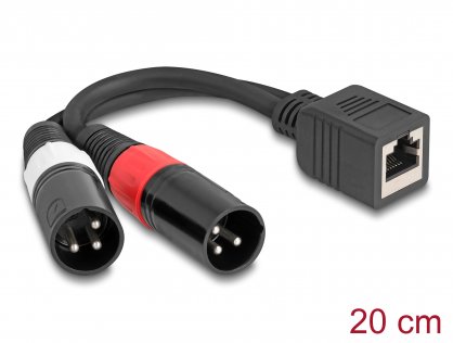 Adaptor RJ45 la 2 x XLR 3 pini M-T 0.2m, Delock 88179